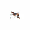 Ezihorse Couvertures & Accessoires De Massage>E.Zihorse Back Confort Tapis de massage vibrant et chauffant pour chevaux