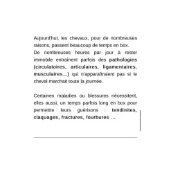 - Marque inconnue - Soin Du Cheval><noscript><img width=