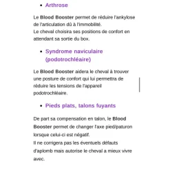 - Marque inconnue - Soin Du Cheval><noscript><img width=