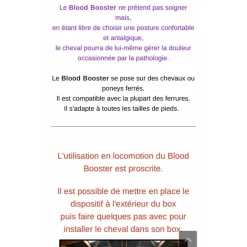 - Marque inconnue - Soin Du Cheval><noscript><img width=