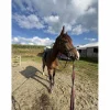 filet*- Marque inconnue - Online