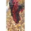 filet a foin*- Marque inconnue - New