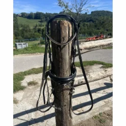 Filet anatomique*- Marque inconnue - Sale