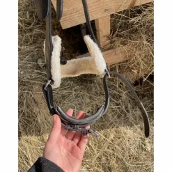 Filet anatomique*QHP Clearance