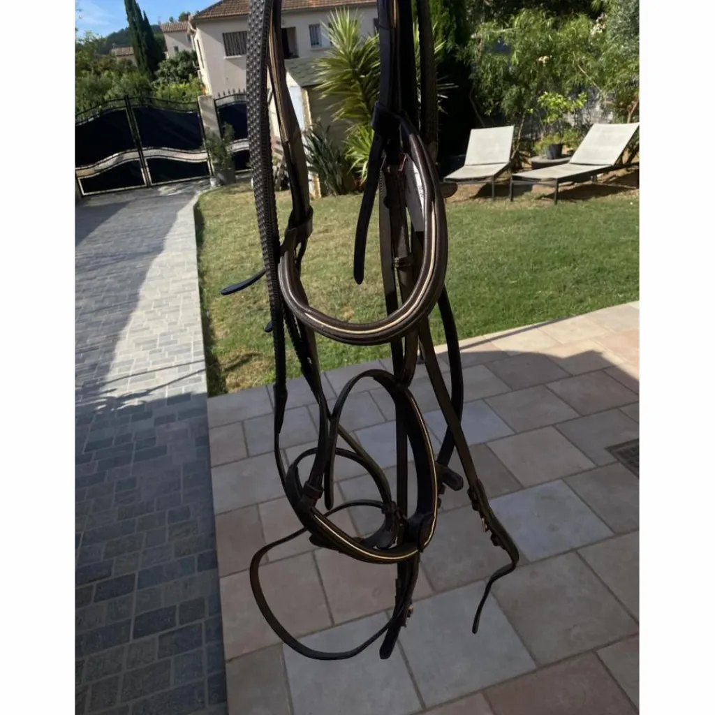 Filet Rose Gold*Canter Discount