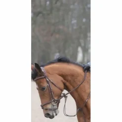 CWD Bridons - Filets>Filet taille 1