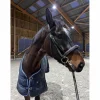 Dy'on Bridons - Filets>filet dyon taille cheval