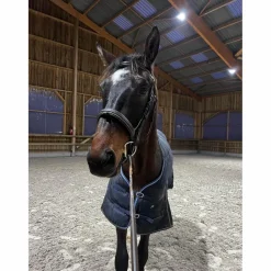 Dy'on Bridons - Filets>filet dyon taille cheval