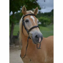 Filet Taille cheval*Dy'on Online