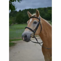 Filet Taille cheval*Dy'on Online