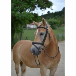 Filet Taille cheval*Dy'on Online
