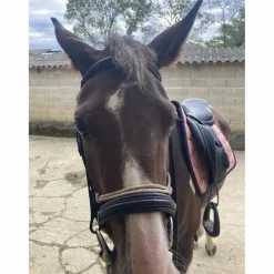 Eric Thomas Bridons - Filets>Filet Work COB