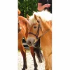 Filet havane*Riding World Sale