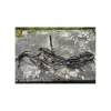 Filet muserolle croisé*- Marque inconnue - Clearance