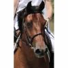 Filet noir TdeT taille COB*T de T Discount
