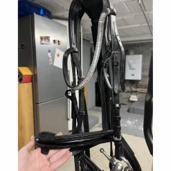 filet noir cob*Time Rider Sale