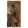 Filet Pro Eclat*Norton Sale