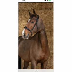 Filet Pro Eclat*Norton Sale
