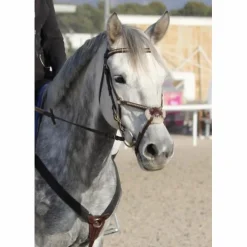Equipe Bridons - Filets><noscript><img width=