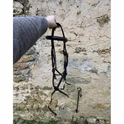 T de T Bridons - Filets><noscript><img width=