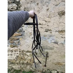 T de T Bridons - Filets><noscript><img width=