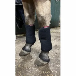 Lemieux Repos>flanelle avant