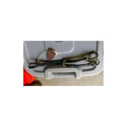 Fourche de martingal*Dy'on Online