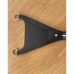 Antares Martingales><noscript><img width=