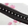 Frontal*Norton Outlet