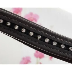 Frontal*Norton Outlet