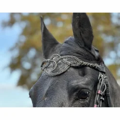 - Marque inconnue - Accessoires>Frontal cheval