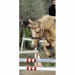 FRONTAL ERGONOMIQUE*Devoucoux
