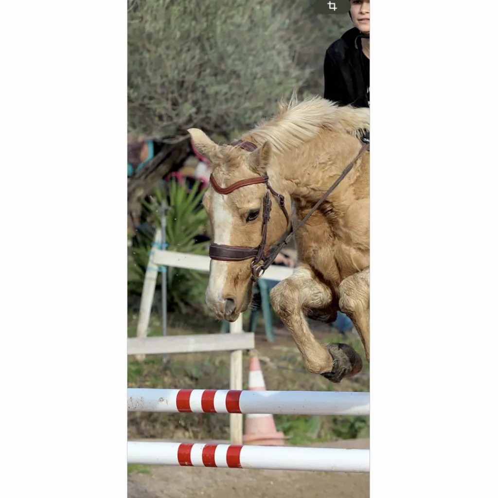 FRONTAL ERGONOMIQUE*Devoucoux