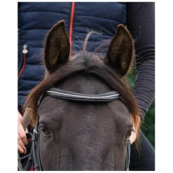 Accessoires>Frontal strass