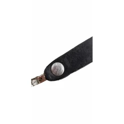Protanner Accessoires><noscript><img width=