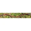Frontal taille cheval marron* Online