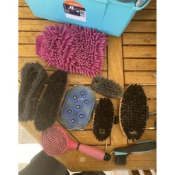 GB 500 bleue avec lot de brosses* Outlet