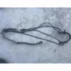 gogue*CWD Sale