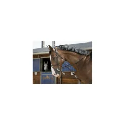 Gogue havane cheval*Riding World Discount