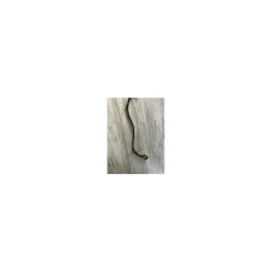 Gogue poney noir*- Marque inconnue -