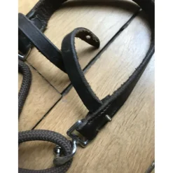 Gogue taille cheval*- Marque inconnue - Hot