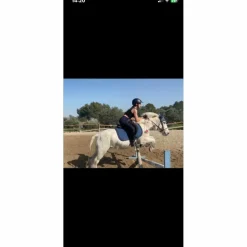 guetre cob/cheval*BR New