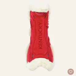 Kentucky Travail><noscript><img width=