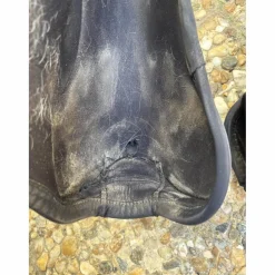 Guêtres de dressage Absolute Easy Strap*Veredus Clearance