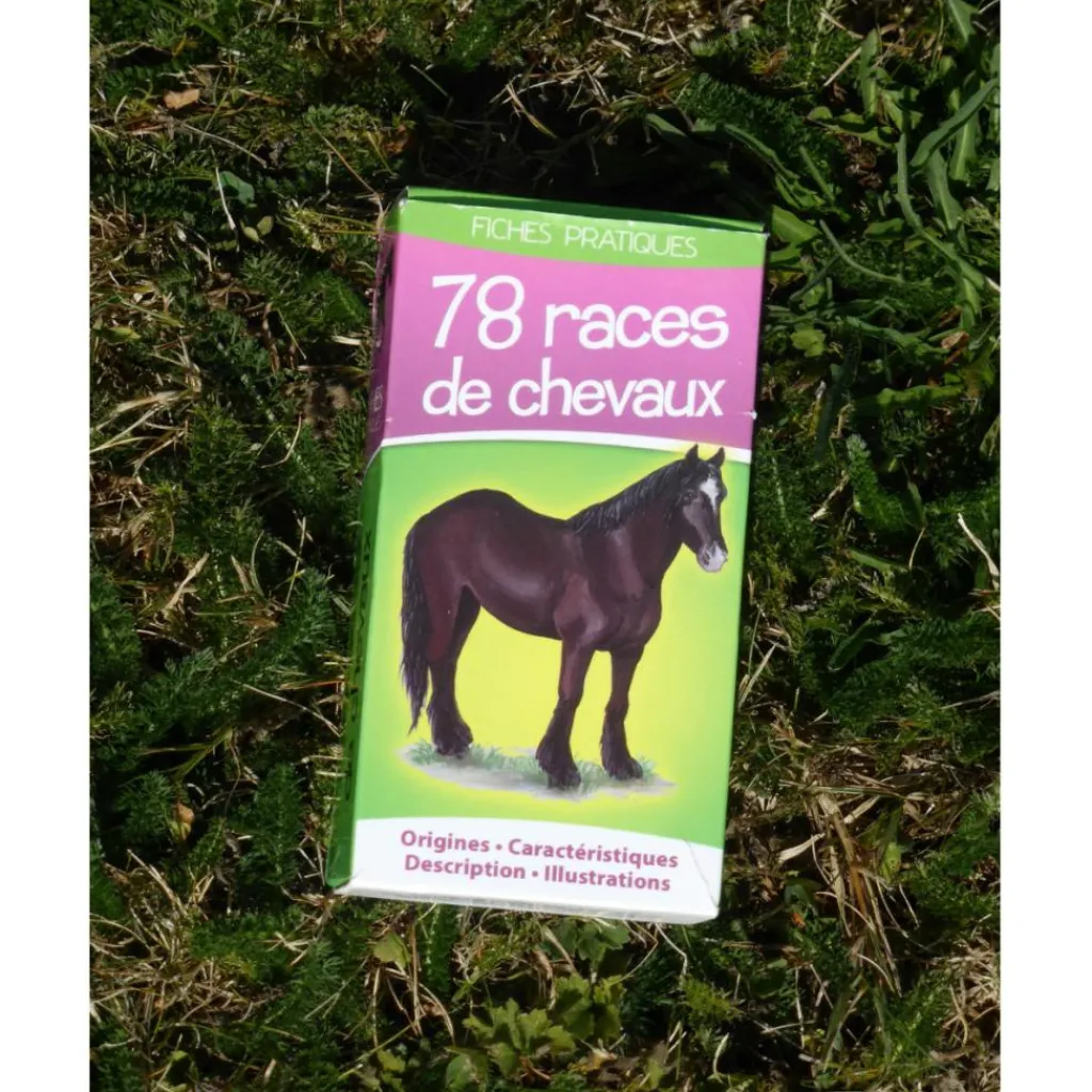 JEU DE CARTES SUR LES ROBES*- Marque inconnue -