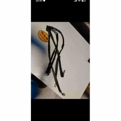 Kavalkade Martingales>