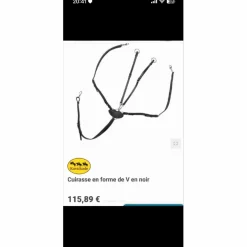 Kavalkade Martingales><noscript><img width=