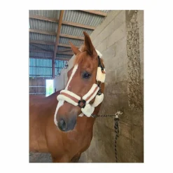 Penelope Leprevost Licols Et Longes>Licol