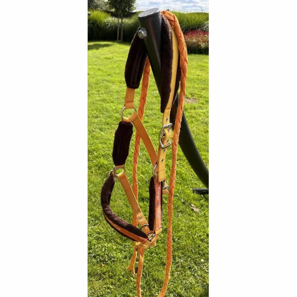 Fouganza Licols Et Longes>Licol + corde Orange
