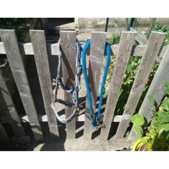 Licol + Longe*- Marque inconnue - Sale